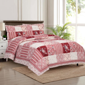 Cotton Printed Aachal Double Bedsheet with Pillow Cover