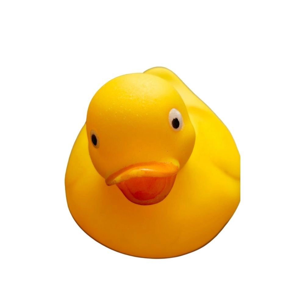 53859214792_2053eca756_o_d-1000×1000-1.webp